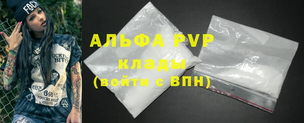 PSILOCYBIN Белокуриха