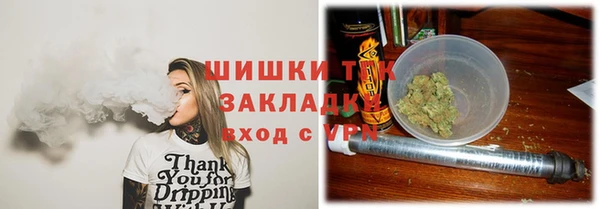 PSILOCYBIN Белокуриха