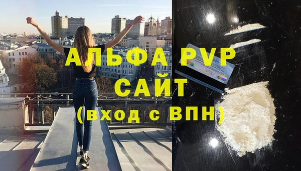 шишки Беломорск