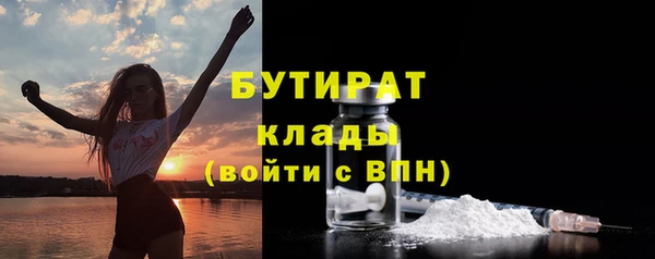 шишки Беломорск