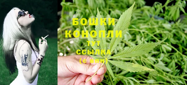 PSILOCYBIN Белокуриха