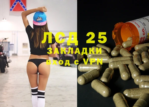 шишки Беломорск