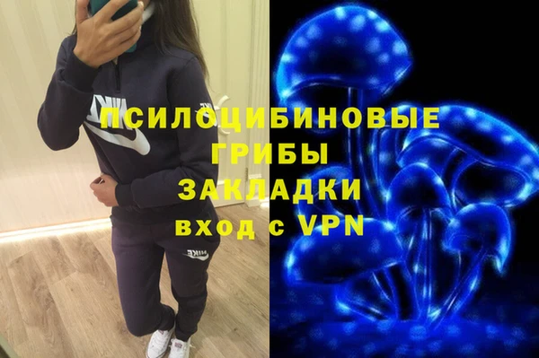 PSILOCYBIN Белокуриха