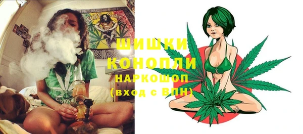 шишки Беломорск