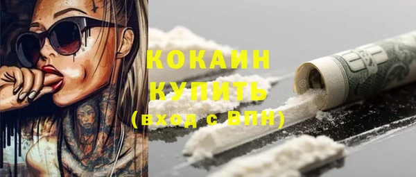 шишки Беломорск