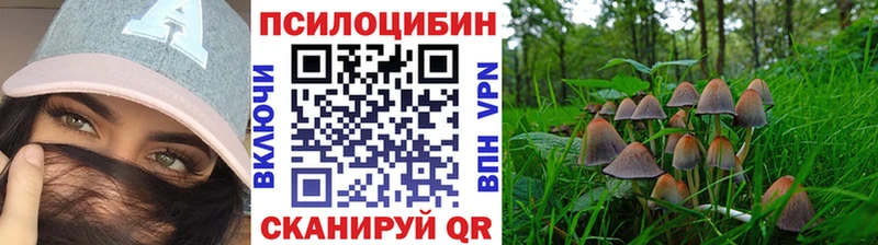 мега вход  Кремёнки  Галлюциногенные грибы Psilocybe 